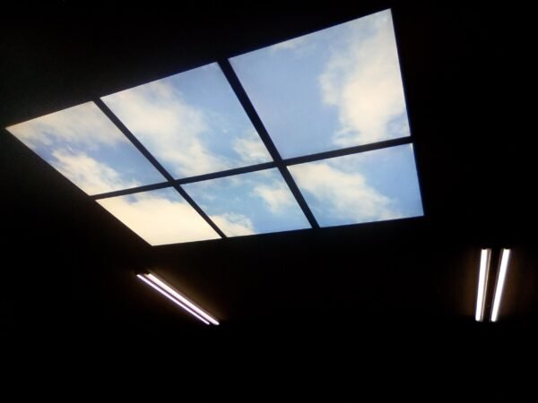 Biblioteca Catadau 2 - copia (1) Panel de Techo LED